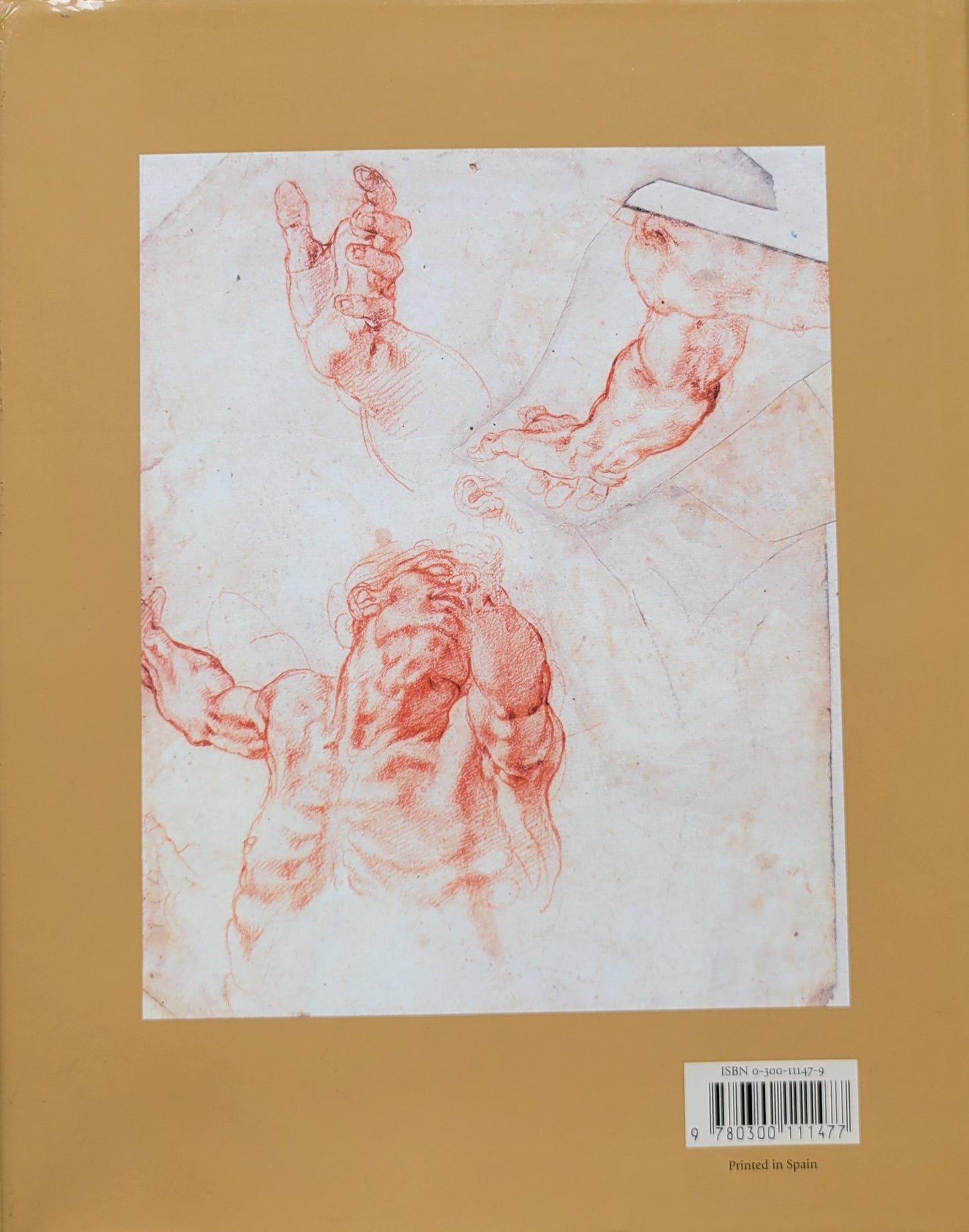 Michelangelo Drawings - Closer to the Master, Hardcover