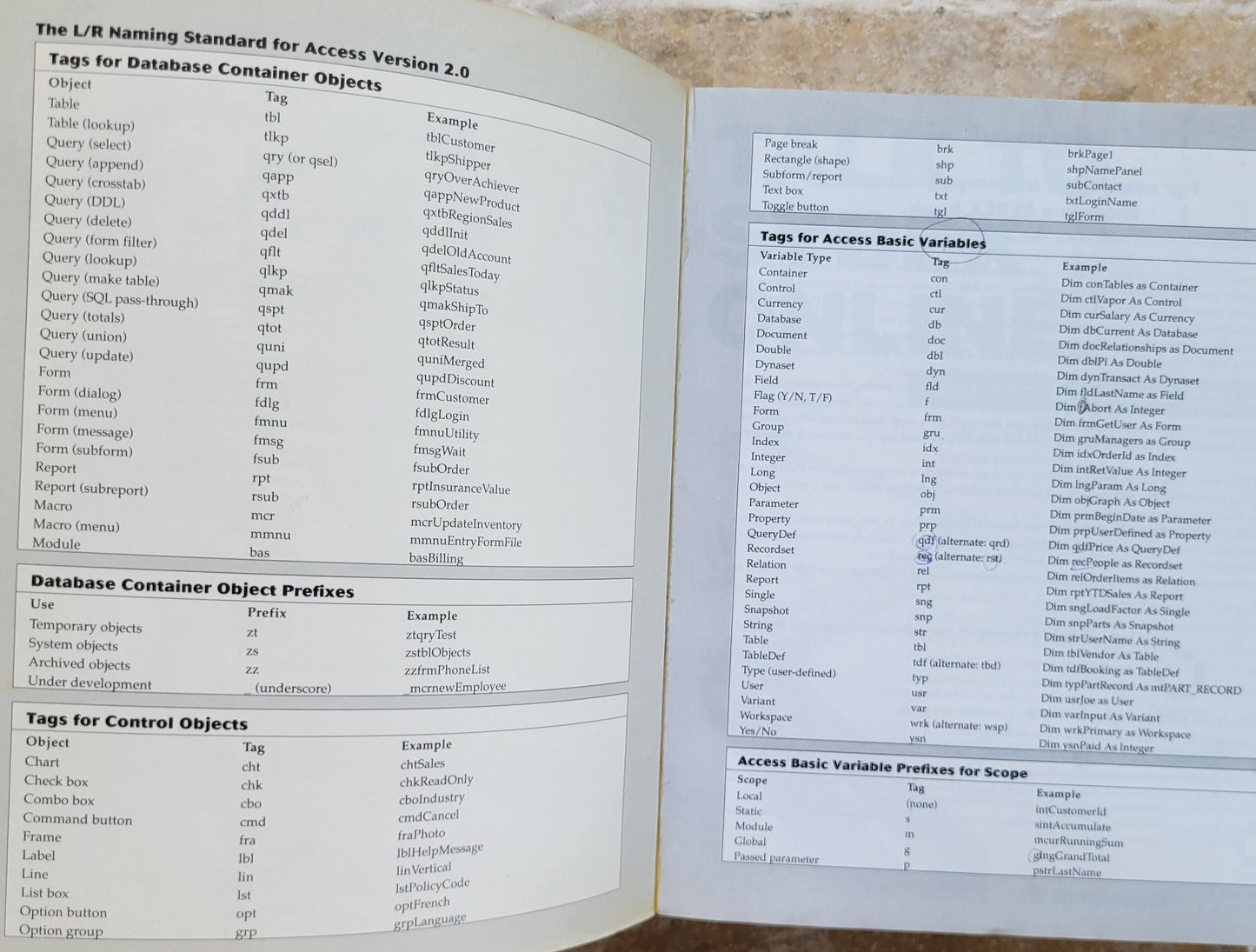 Vintage - Microsoft Access 2 Developer's Handbook