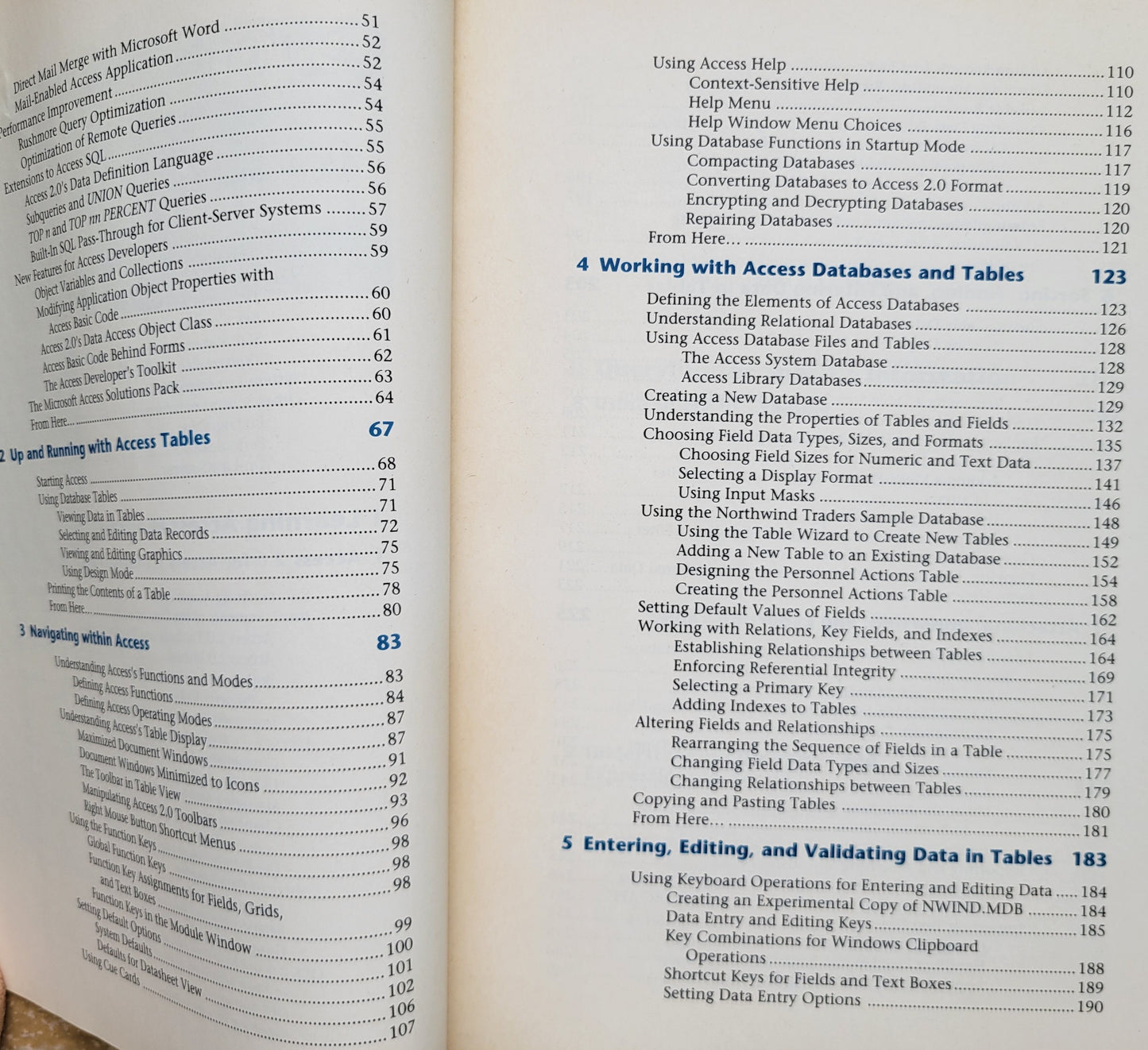 Vintage - Using Microsoft Access 2 for Windows