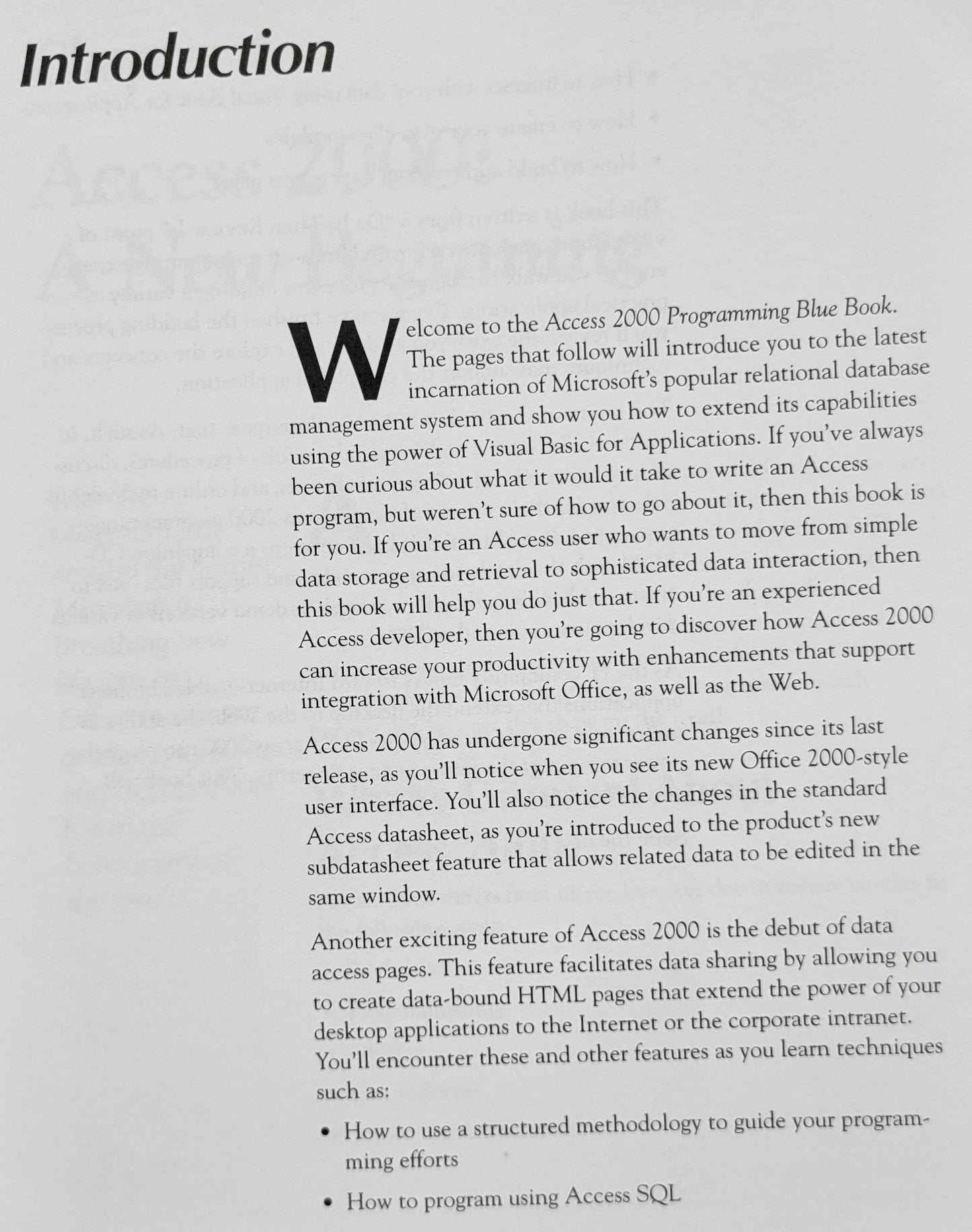 Vintage - Microsoft Access 2000 Programming Blue Book