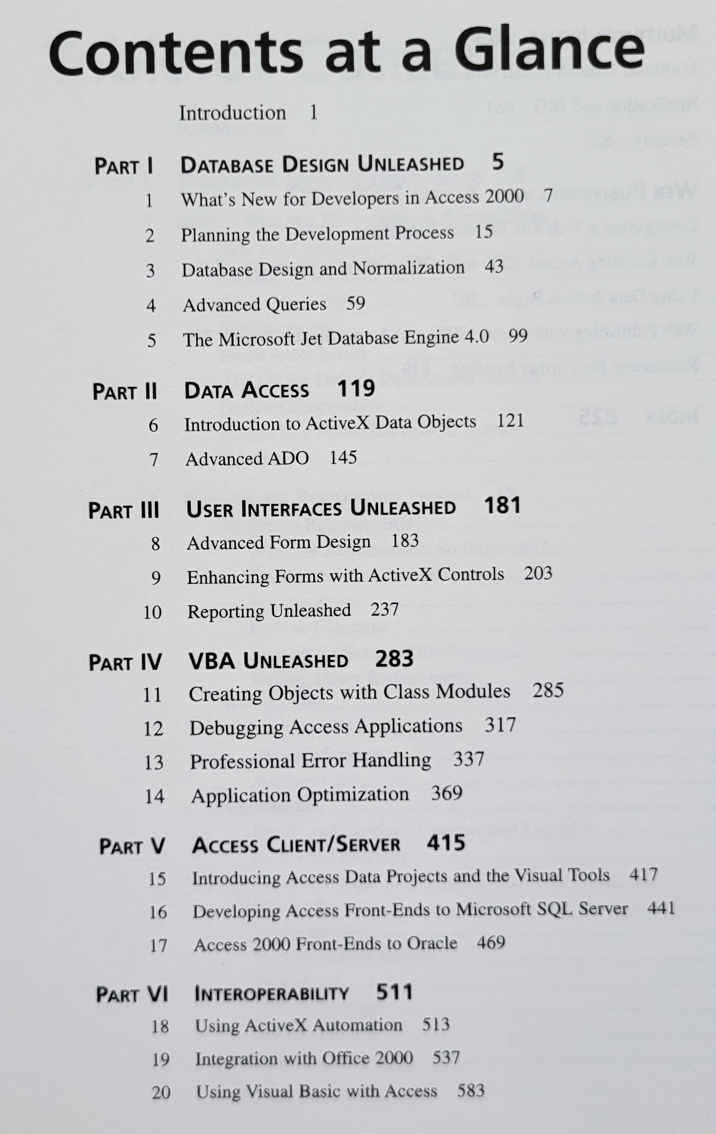 Vintage - Microsoft Access 2000 Development