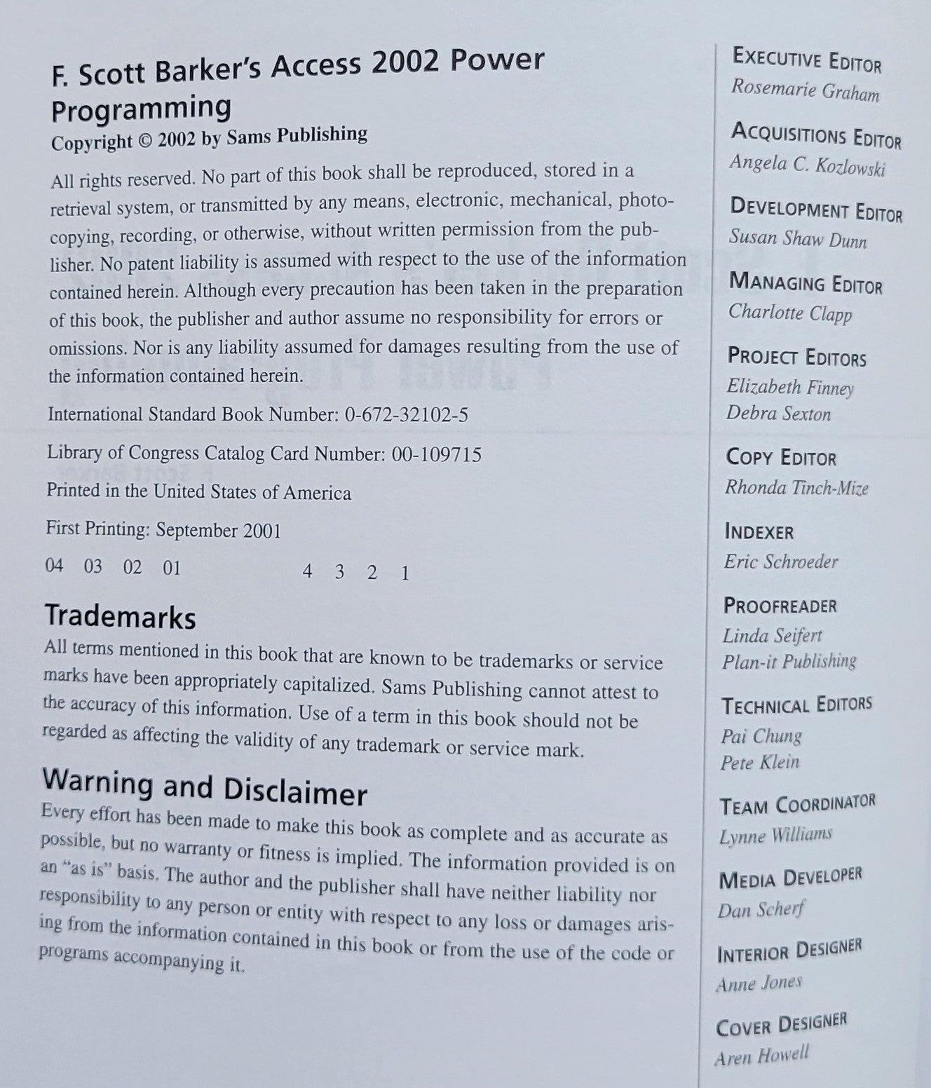 Vintage - Microsoft Access 2002 Power Programming